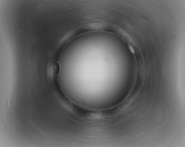 X0000115810071200911201427
