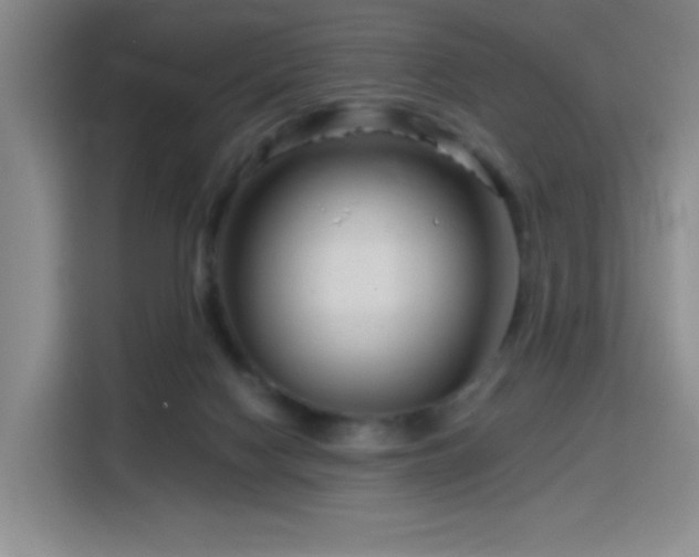 X0000115810074200911201427