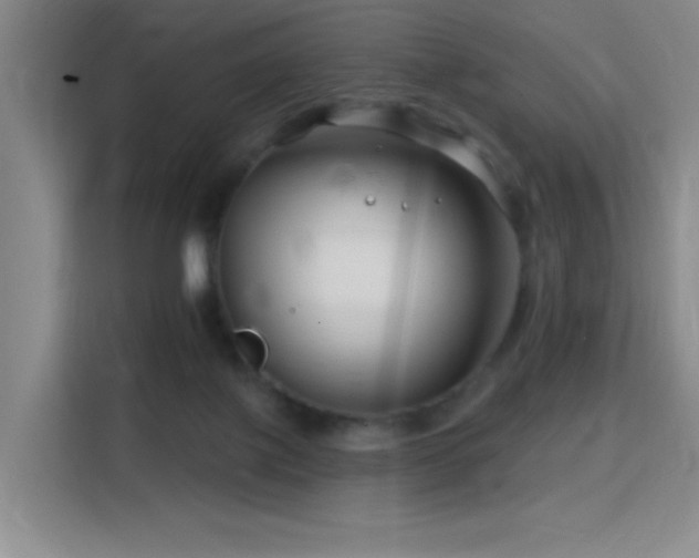 X0000115810075200911201427