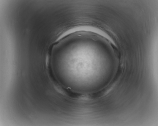 X0000115810076200911201427