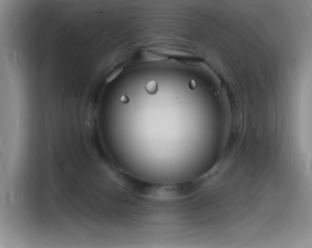 X0000115810078200911201427