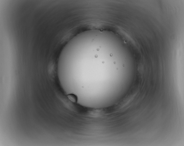 X0000115810079200911201427