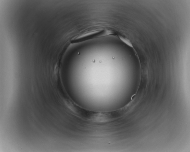 X0000115810082200911201427