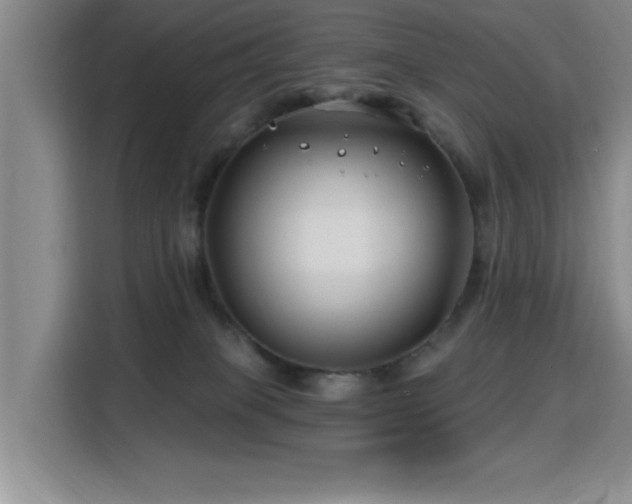 X0000115810085200911201427