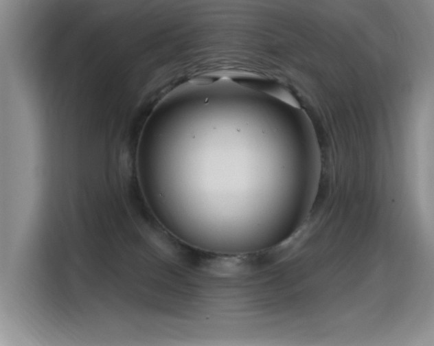 X0000115810086200911201427