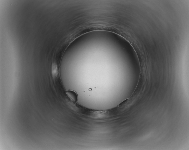 X0000115810089200911201427