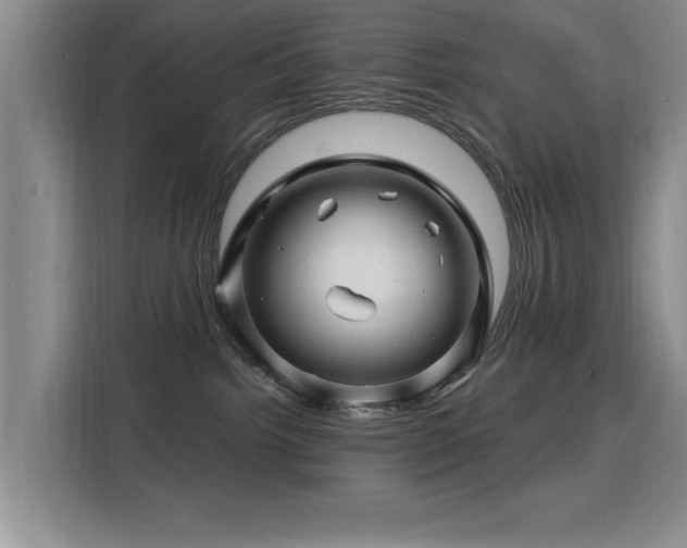 X0000115810092200911201427