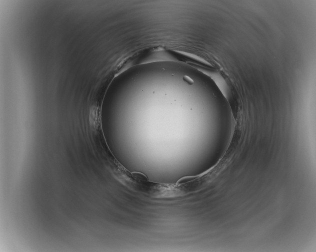 X0000115810093200911201427