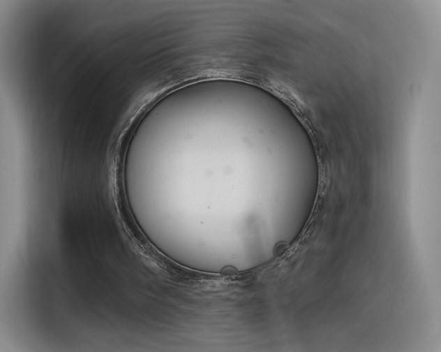 X0000115810098200911201427
