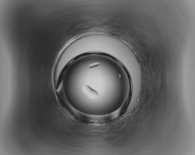 X0000115810100200911201427
