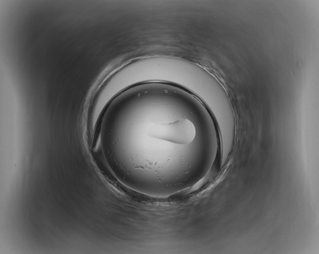 X0000115810101200911201427