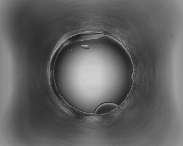 X0000115810102200911201427