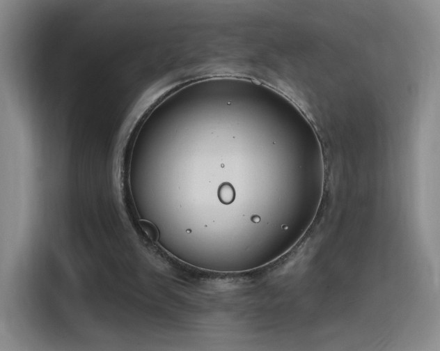 X0000115810103200911201427