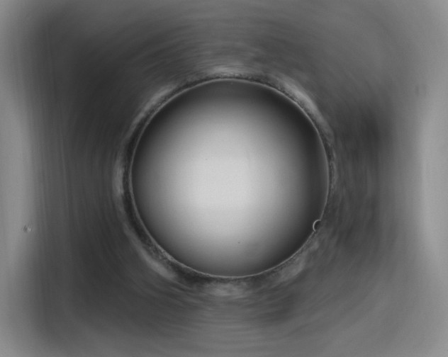 X0000115810106200911201427