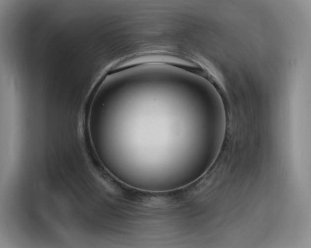 X0000115810107200911201427