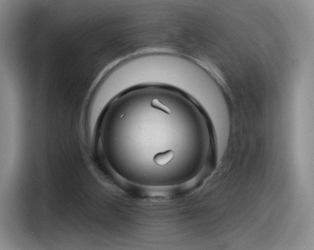 X0000115810108200911201427