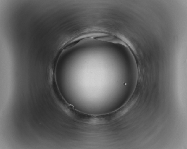 X0000115810109200911201427