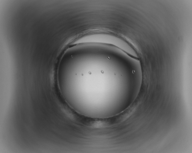 X0000115810111200911201427