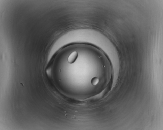 X0000115810116200911201426