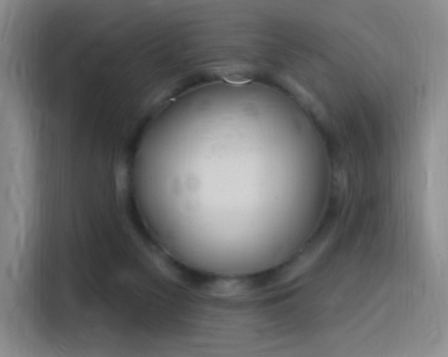 X0000115810117200911201426