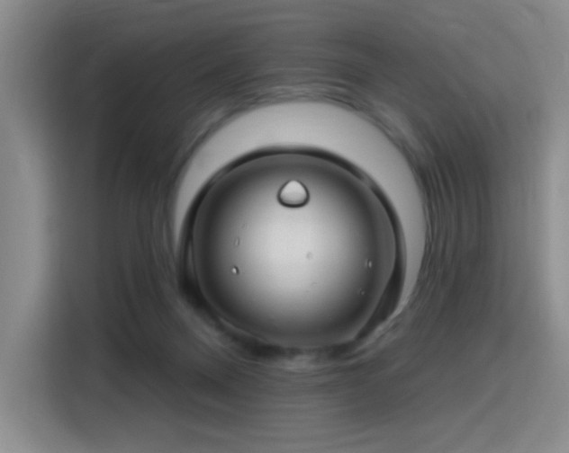 X0000115810120200911201426