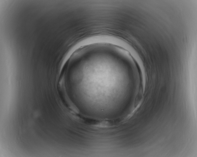 X0000115810124200911201426