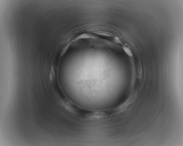 X0000115810128200911201426