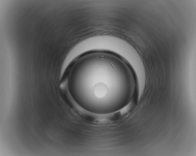 X0000115810129200911201426