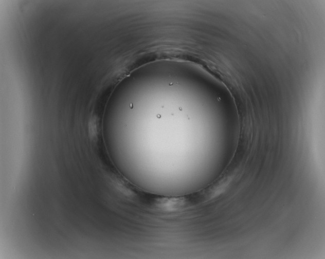 X0000115810135200911201426