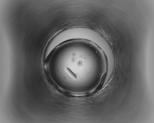 X0000115810146200911201425