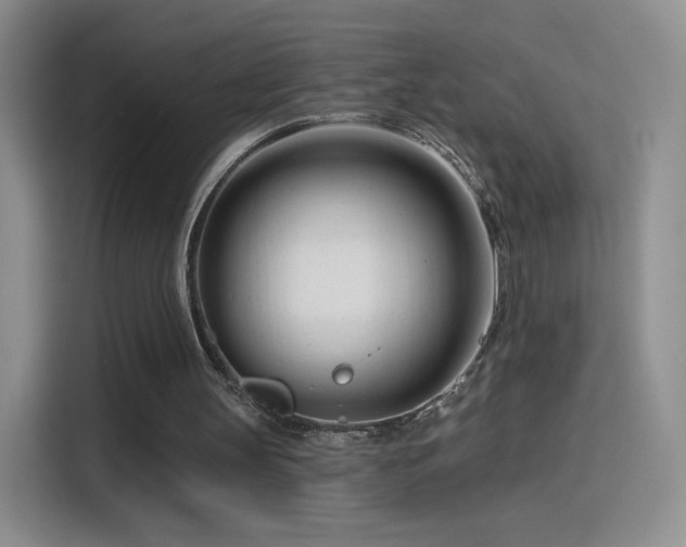 X0000115810147200911201425