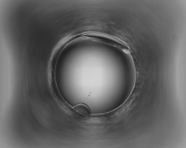 X0000115810149200911201426