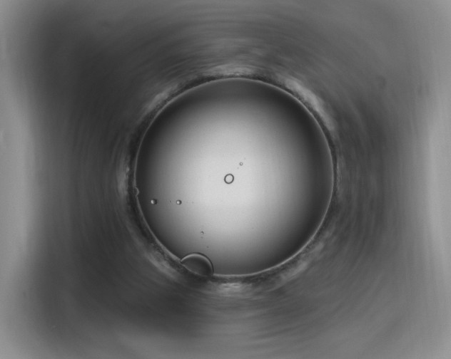 X0000115810153200911201426