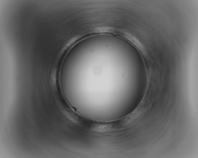 X0000115810155200911201426