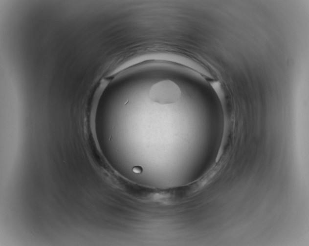 X0000115810158200911201426