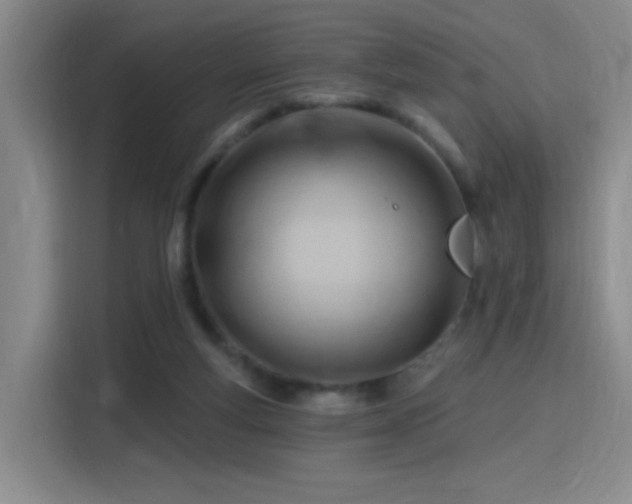 X0000115810163200911201426