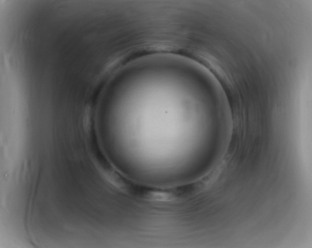 X0000115810167200911201426