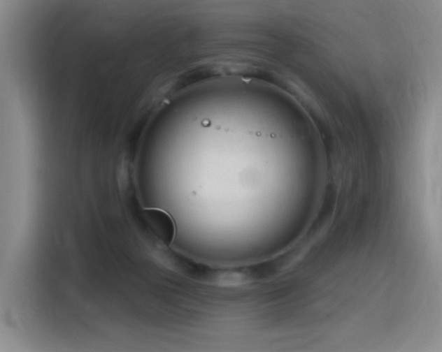 X0000115810169200911201426