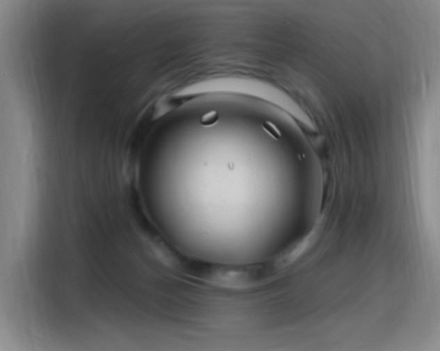 X0000115810174200911201426