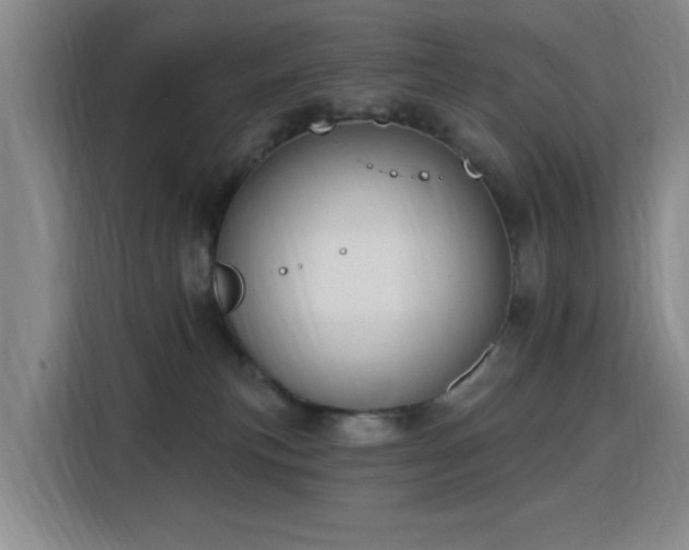 X0000115810183200911201426