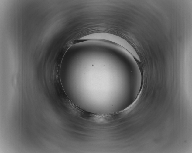 X0000115810190200911201426