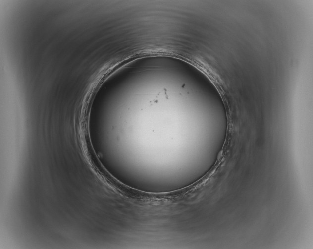 X0000115810193200911201425