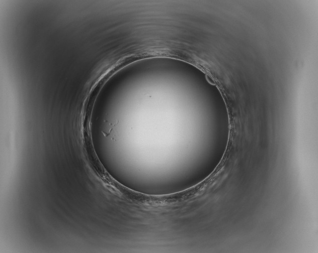 X0000115810194200911201425