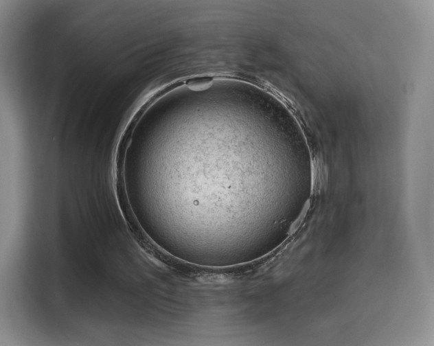 X0000115810195200911201425