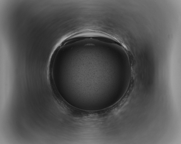 X0000115810196200911201425