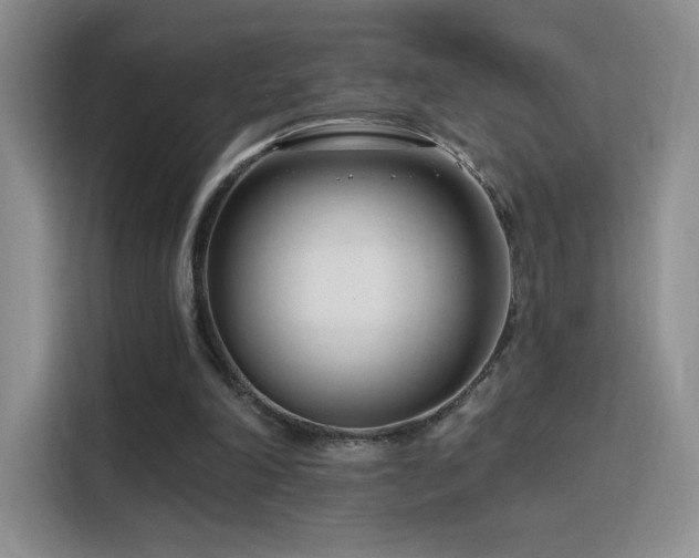 X0000115810198200911201425