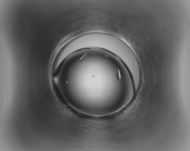X0000115810199200911201425