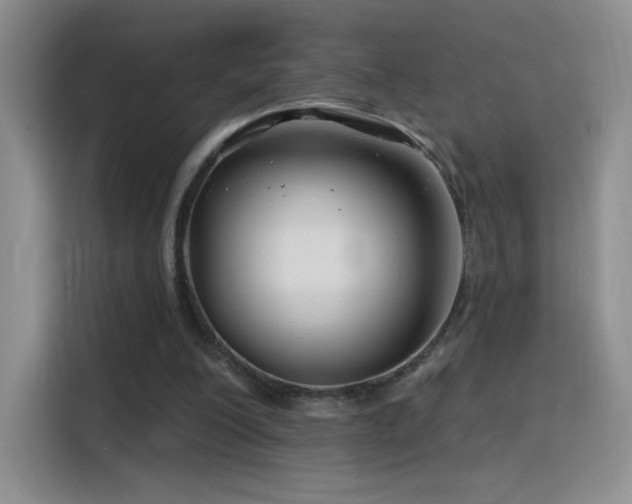 X0000115810200200911201425