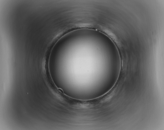 X0000115810201200911201425