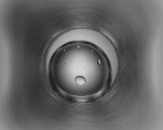 X0000115810203200911201425